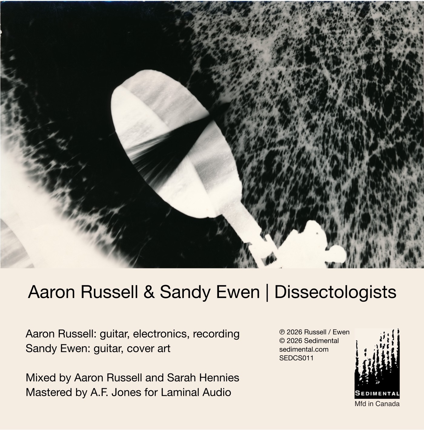 Dissectologists